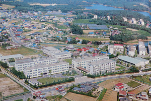 1974年 1974年