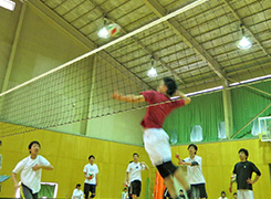 volleyball