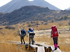 hiking